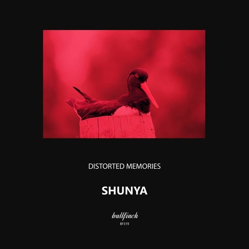 Distorted Memories - Shunya [BF319]